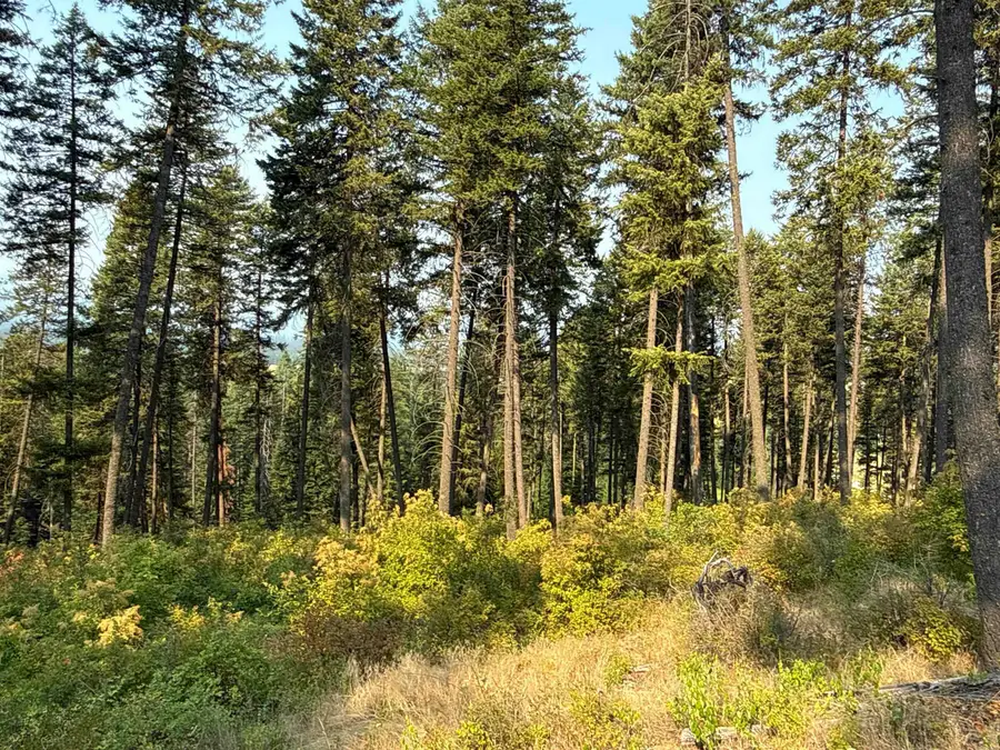 NKA Berry Rd, Usk, WA 99180 - #2