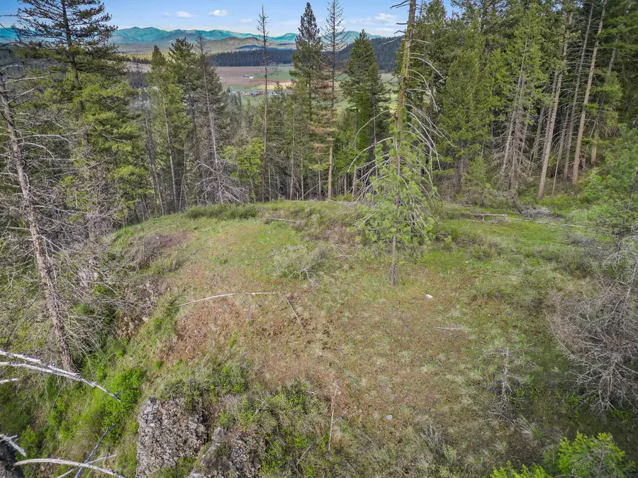 xxx Springdale Hunters Rd, Springdale, WA 99173 - #3