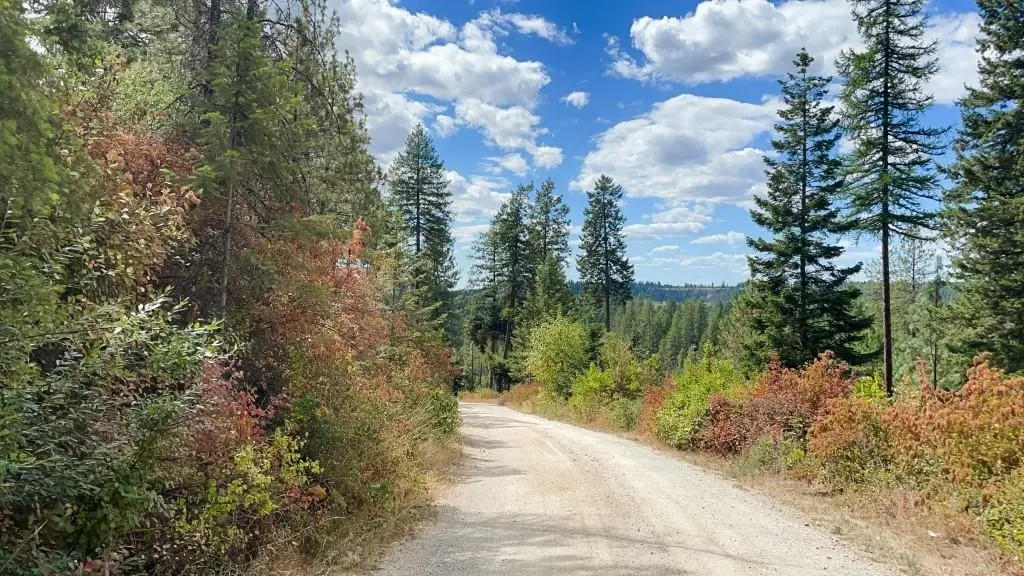 11618 E Dusty Ln, Chattaroy, WA 99003 - #1