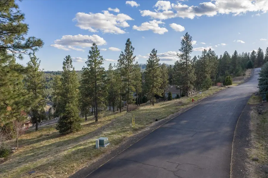 11615 S Elk Run Ln, Spokane, WA 99224 - #2