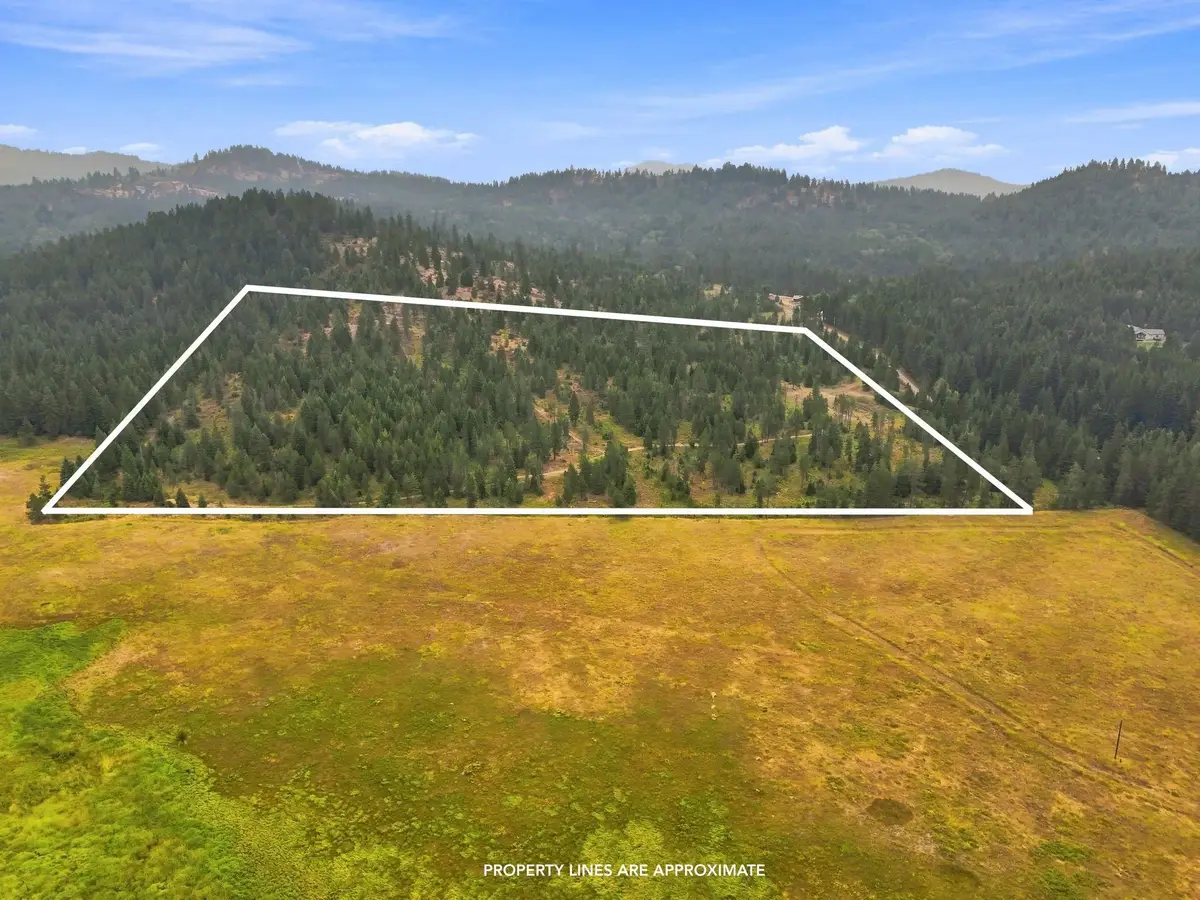 1301 Roberts Rd, Newport, WA 99156 - #1