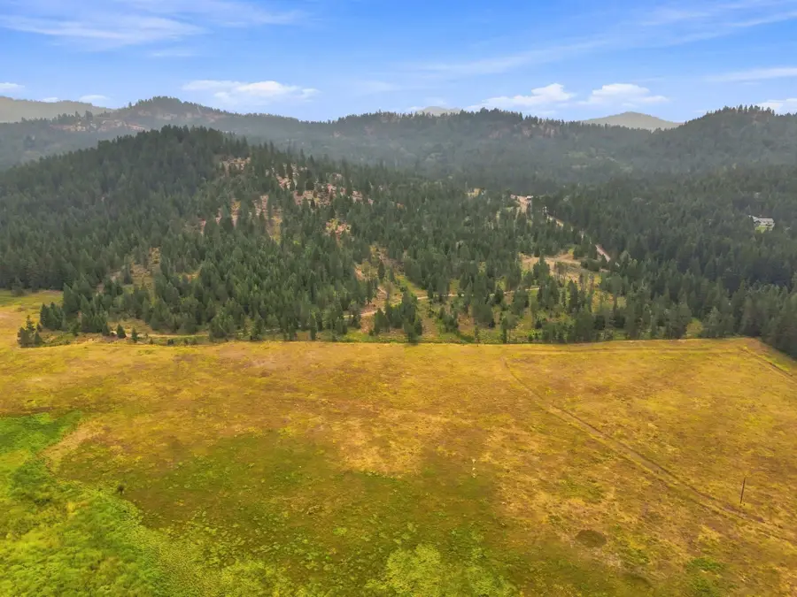 1301 Roberts Rd, Newport, WA 99156 - #2