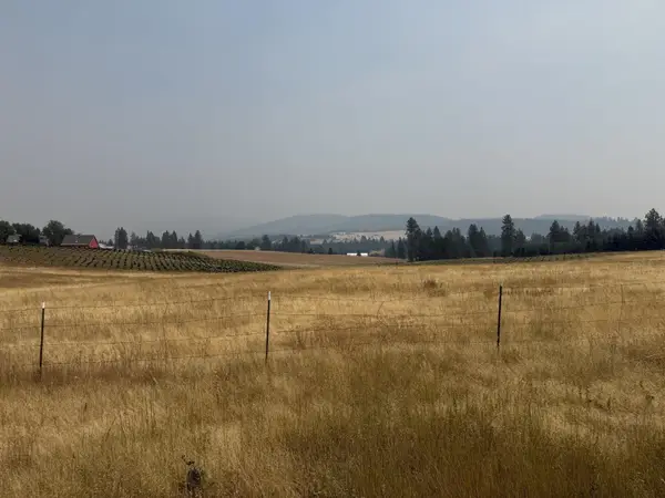 13XXX E Gibbs Rd, Mica, WA 99023