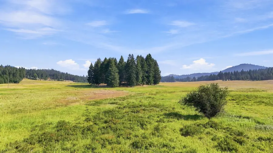 2 Jermain Rd, Newport, WA 99156 - #2
