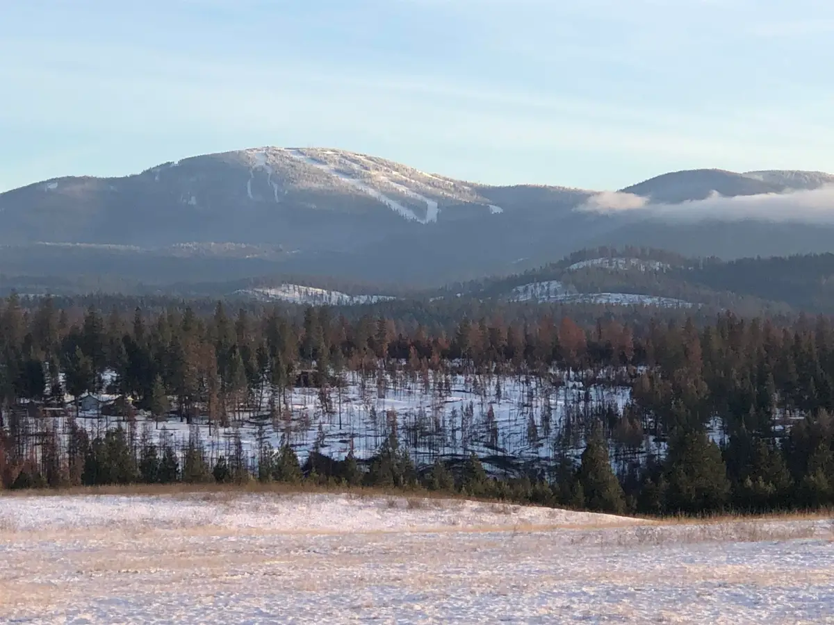 41900 N Darknell Rd, Elk, WA 99009 - #1