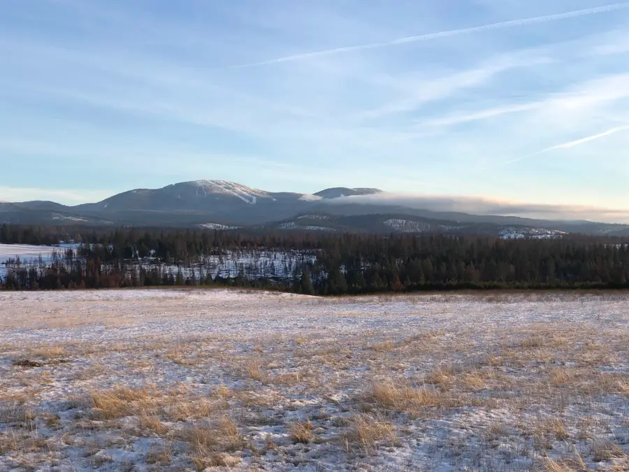 41900 N Darknell Rd, Elk, WA 99009 - #2
