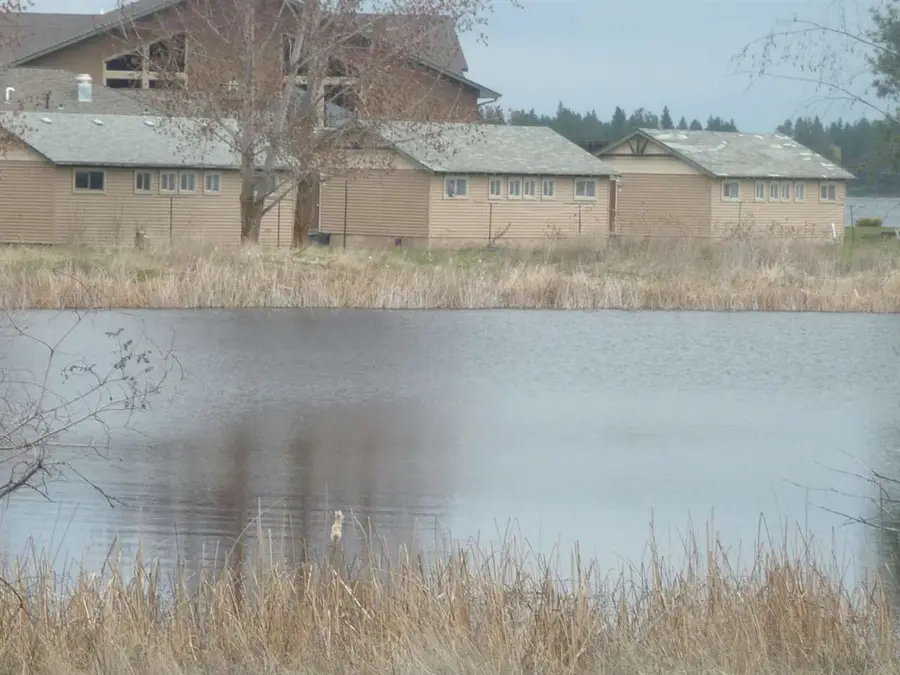 11211 S Lakeview Ct, Medical Lake, WA 99022-9541 - #2