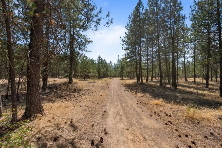 00 N Mathias Ln, Nine Mile Falls, WA 99026 - #3
