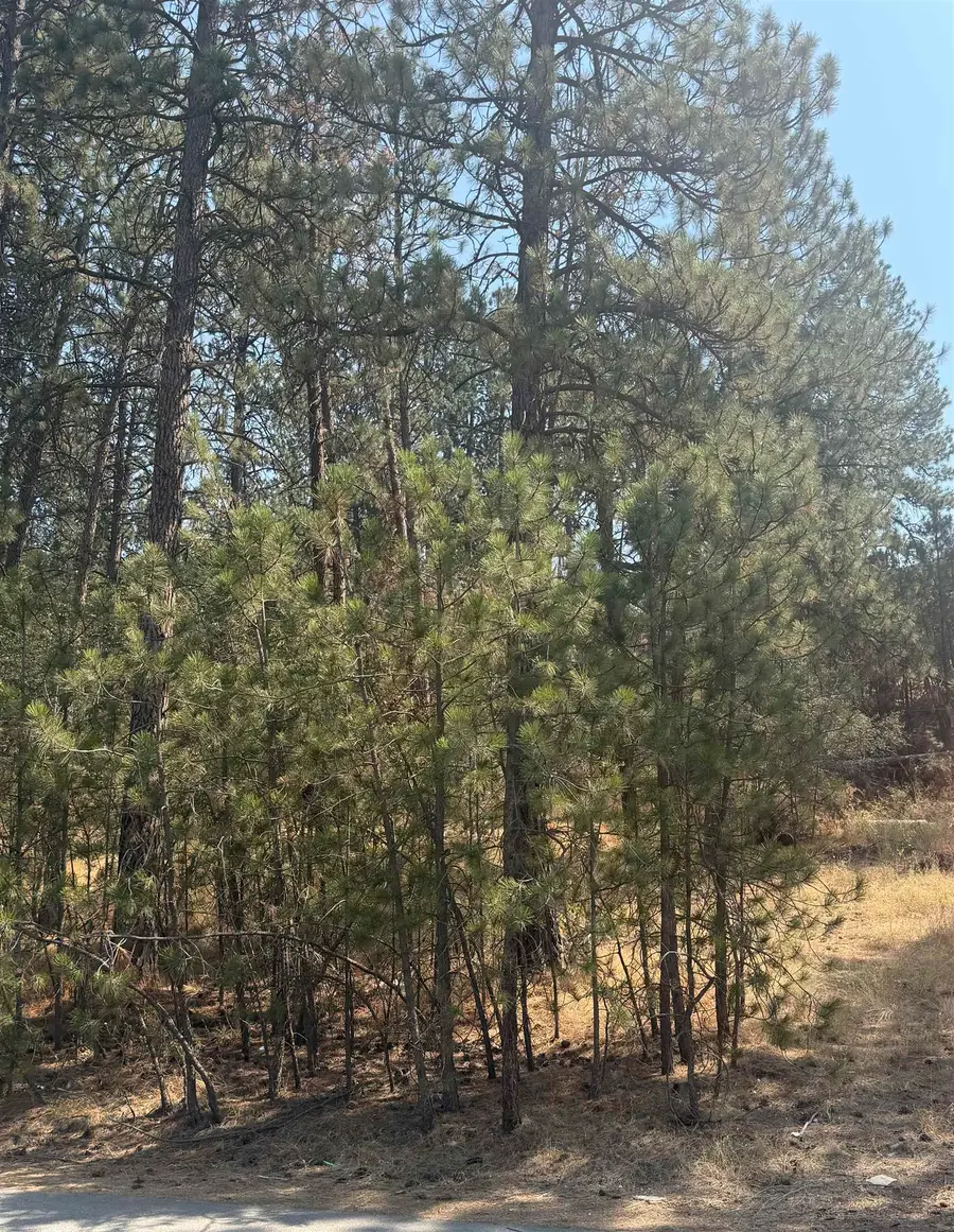 56XX E Eastwood Ave, Spokane Valley, WA 99206 - #2