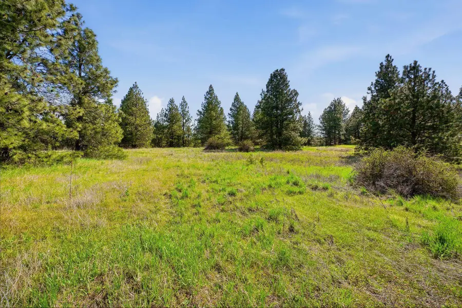 00 Unknown W 4th Avenue Dr, Cheney, WA 99004 - #2