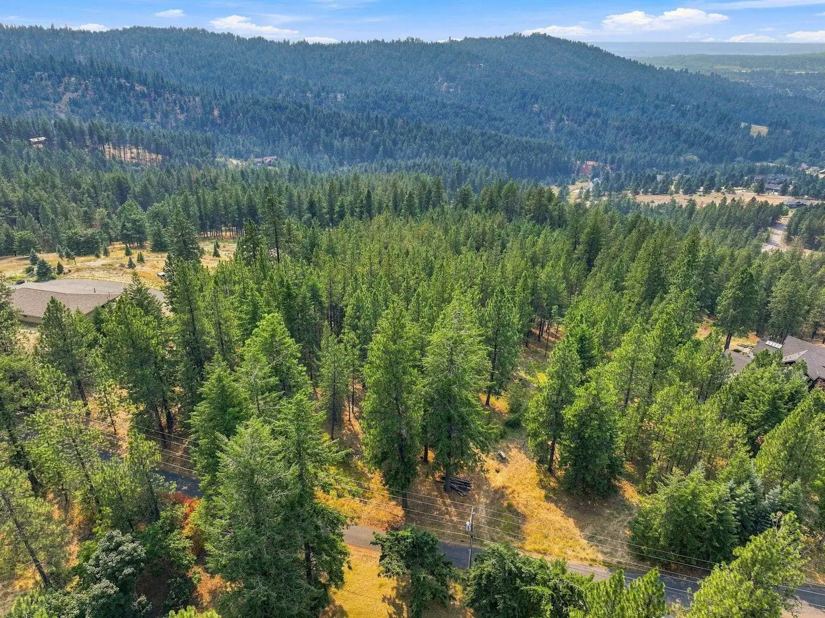 NKA S Park Ln, Spokane, WA 99223 - #1