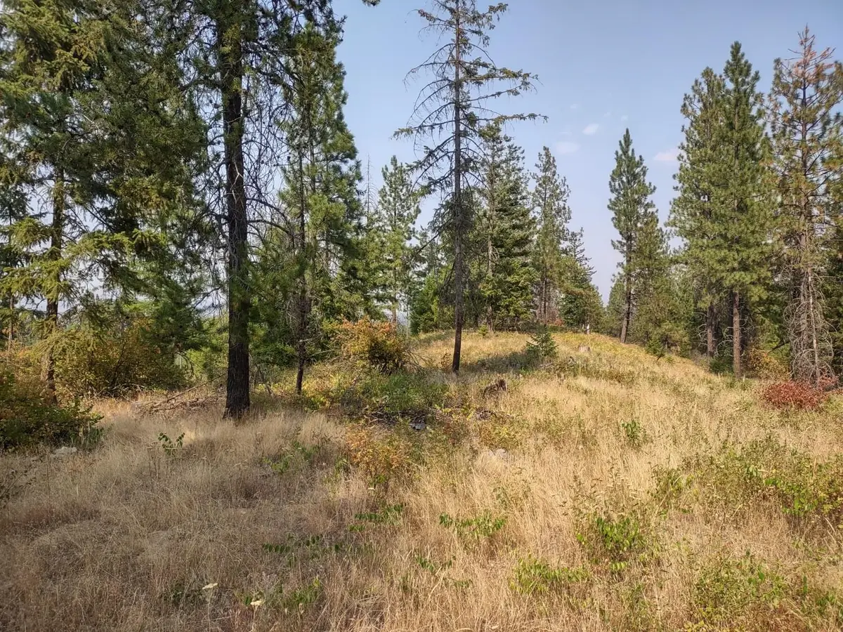 XX Lodgepole Ln, Elk, WA 99009 - #1
