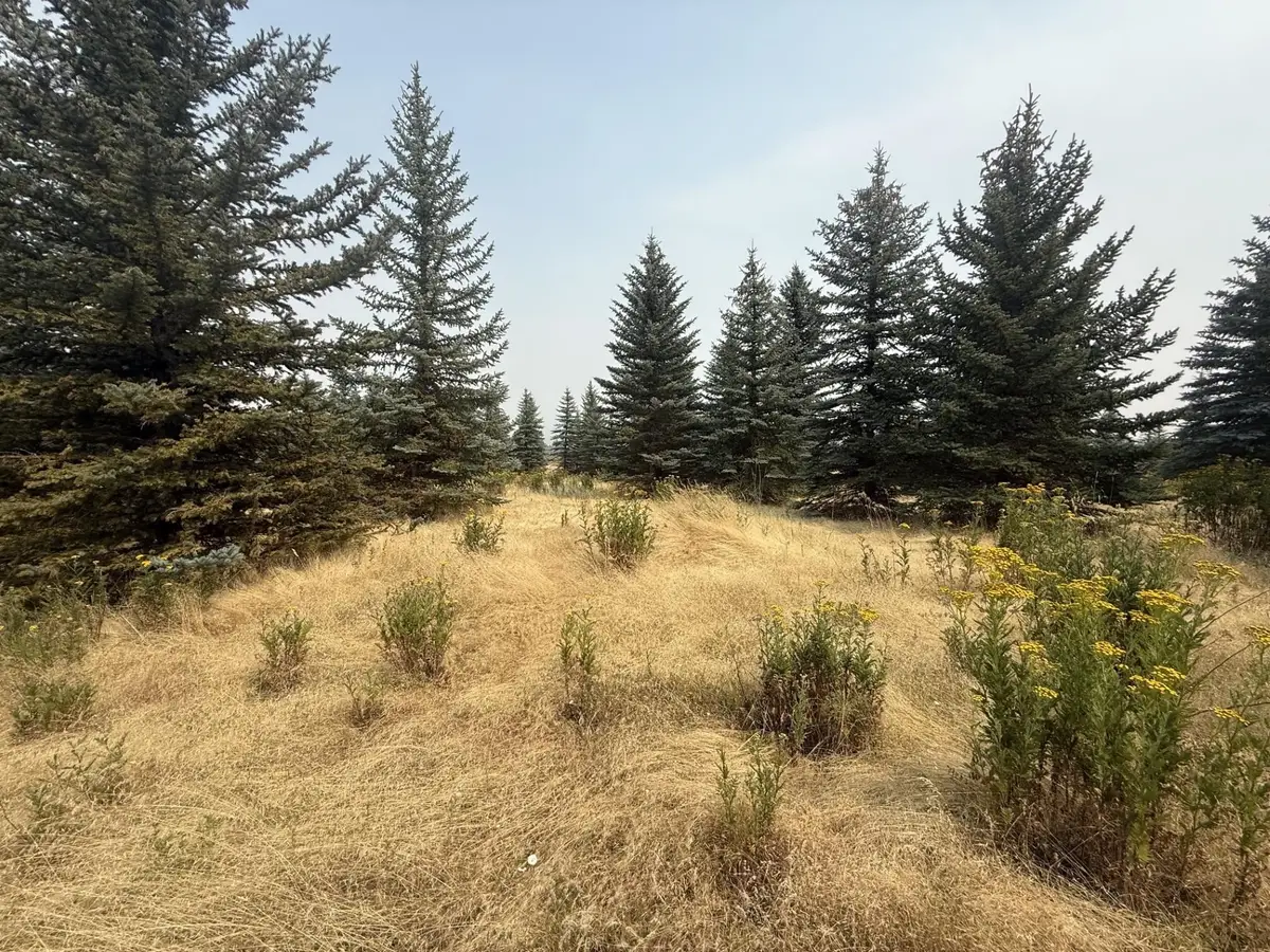 112XX S Spruce Tree Ln, Mica, WA 99023 - #1