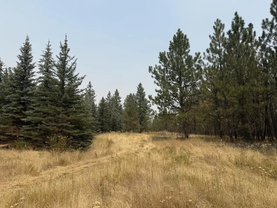 112XX S Spruce Tree Ln, Mica, WA 99023 - #3