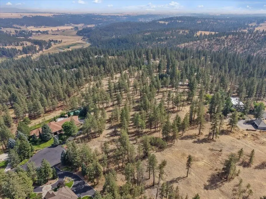 13524 S Greyhawk Ln, Spokane, WA 99224 - #3