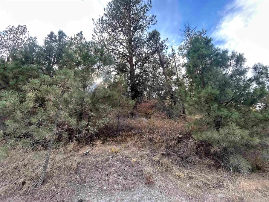 UNK Unk Rd, Liberty Lake, WA 99019 - #2