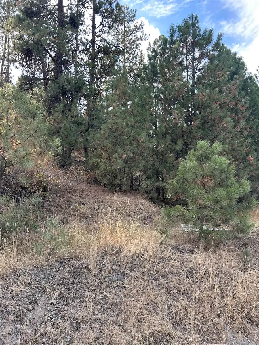 UNK Unk Rd, Liberty Lake, WA 99019 - #3