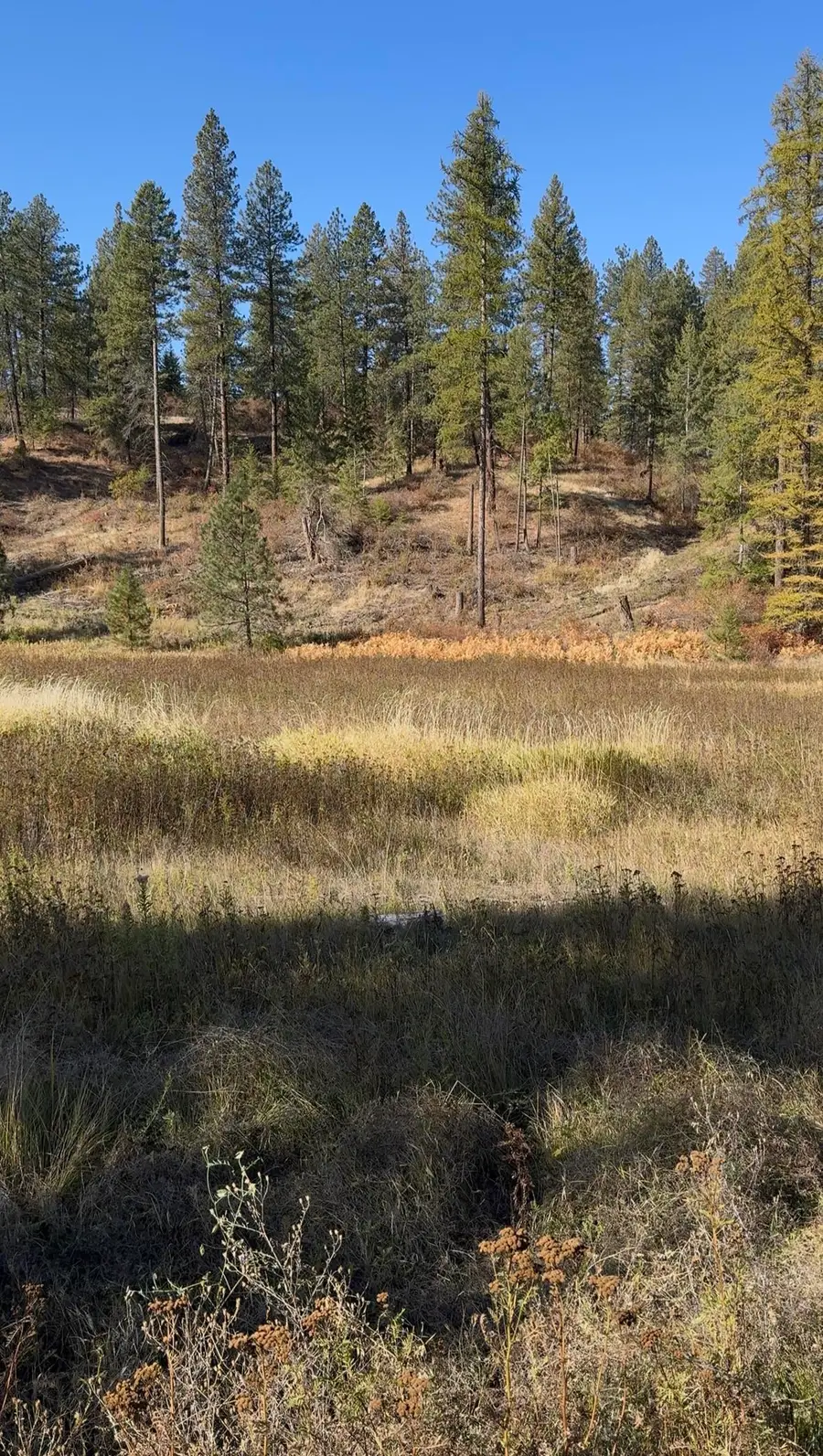 NKA W Bernhill Rd, Spokane, WA 99208 - #3