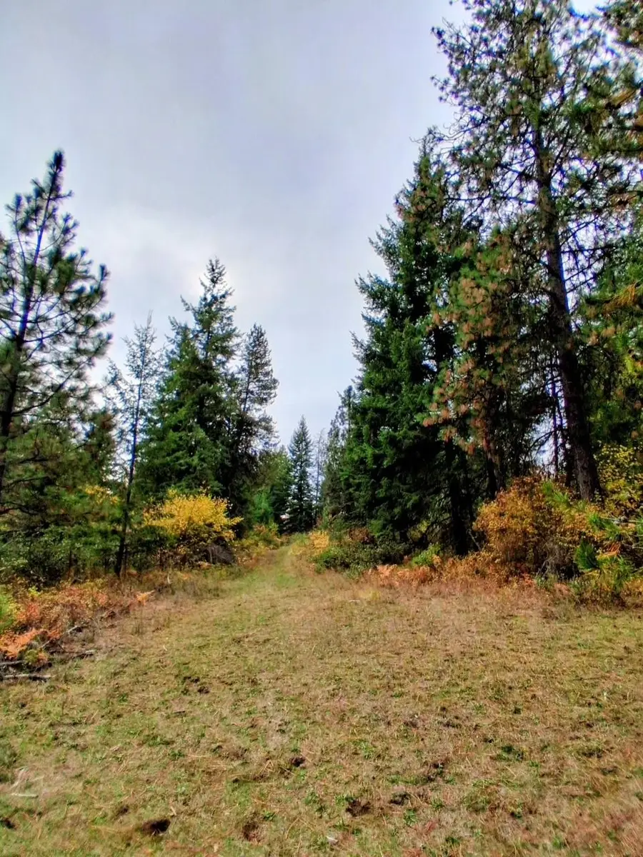 706 Mccammon Rd, Elk, WA 99009 - #3