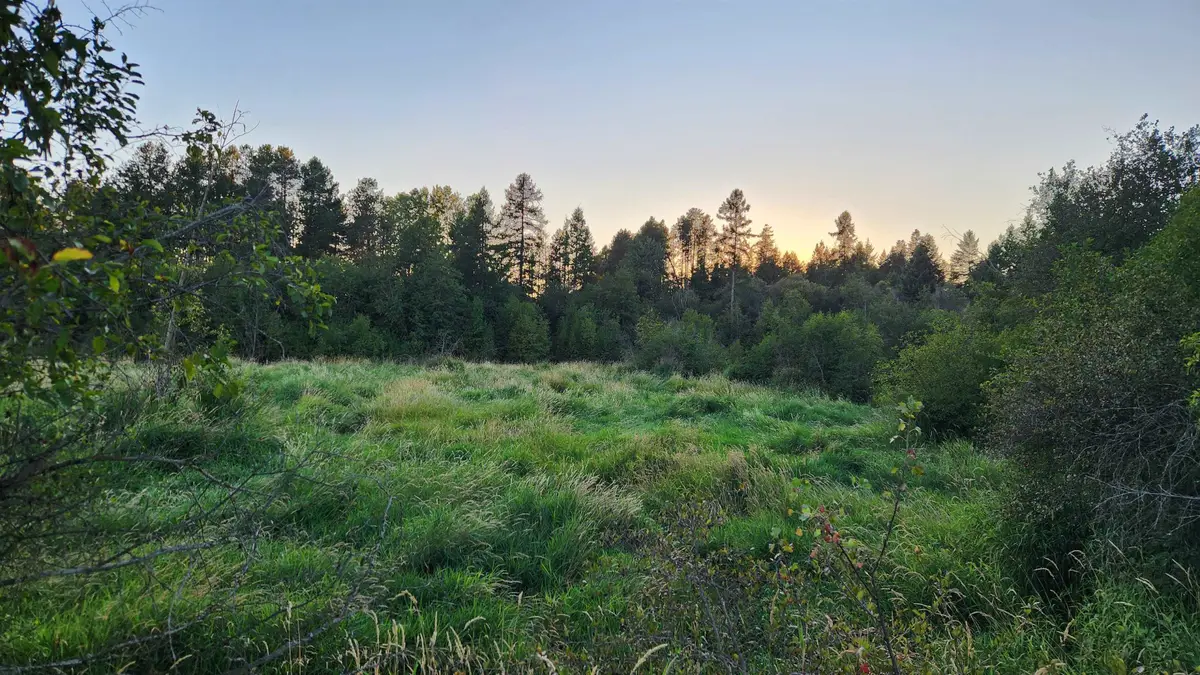 0 W Enoch Rd, Deer Park, WA 99006 - #1