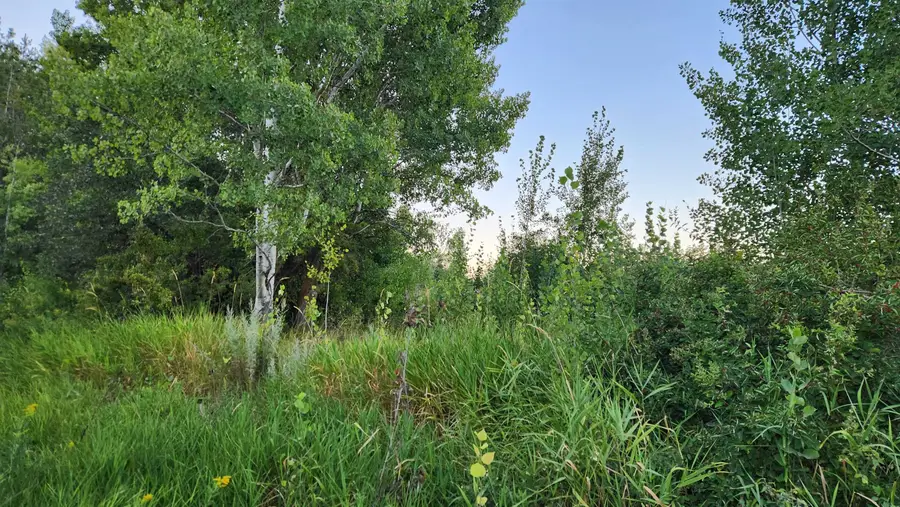 0 W Enoch Rd, Deer Park, WA 99006 - #2