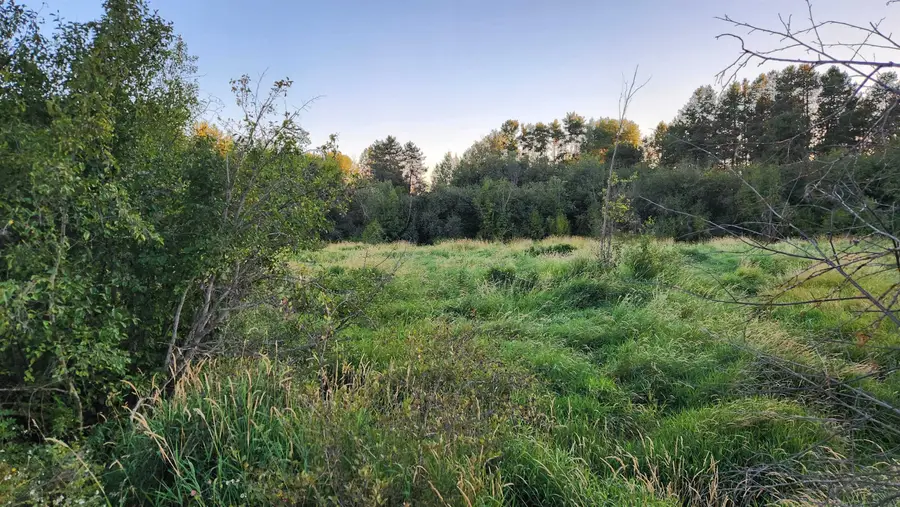 0 W Enoch Rd, Deer Park, WA 99006 - #3