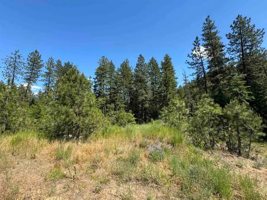402 N Beck Ln, Springdale, WA 99173 - #3