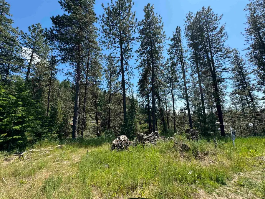 340 N Beck Ln, Springdale, WA 99173 - #2