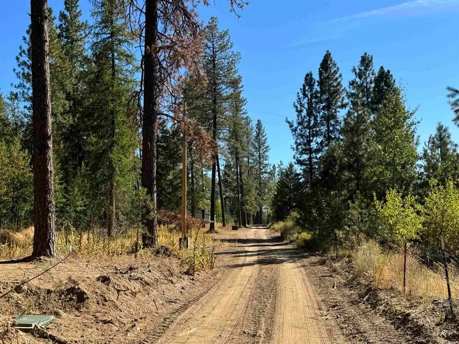 340 N Beck Ln, Springdale, WA 99173 - #3