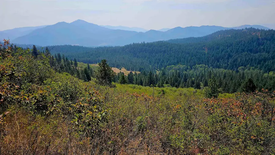 35XX Addy Cedonia Rd, Hunters, WA 99137 - #2
