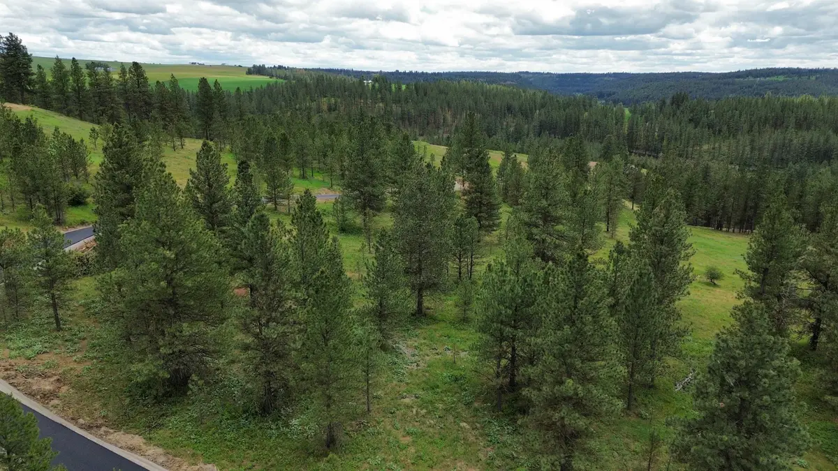 3344 Balsam Hill Ln, Valleyford, WA 99036 - #1