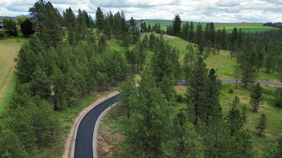 3344 Balsam Hill Ln, Valleyford, WA 99036 - #2