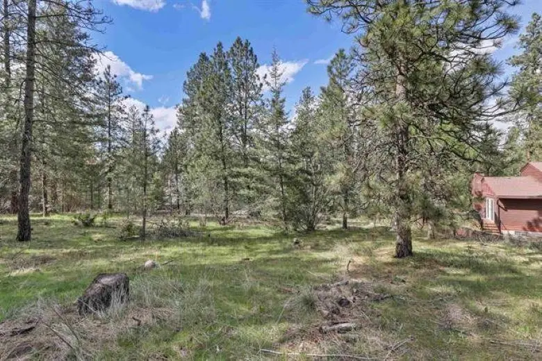 NKA Shelly (parcel # 45354.0514) Ct, Veradale, WA 99037 - #2