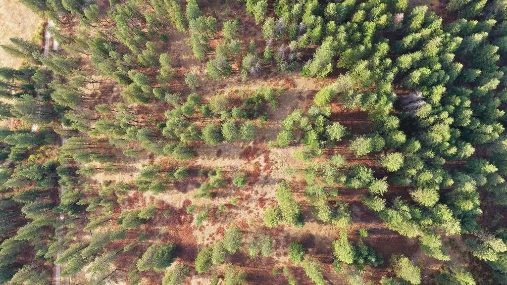 NKA Timberlane Cir, Mount Spokane, WA 99021 - #1