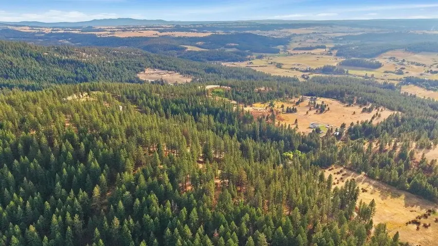 NKA Timberlane Cir, Mount Spokane, WA 99021 - #3