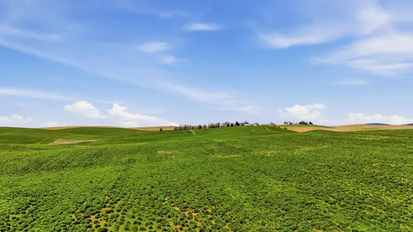 11879 E Elder Rd, Valleyford, WA 99036