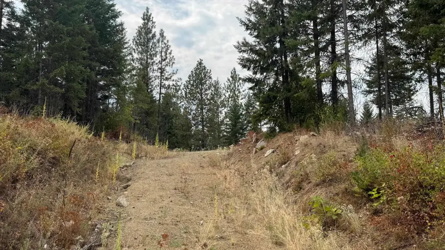 10313 Spring Valley Rd, Newport, WA 99156 - #3