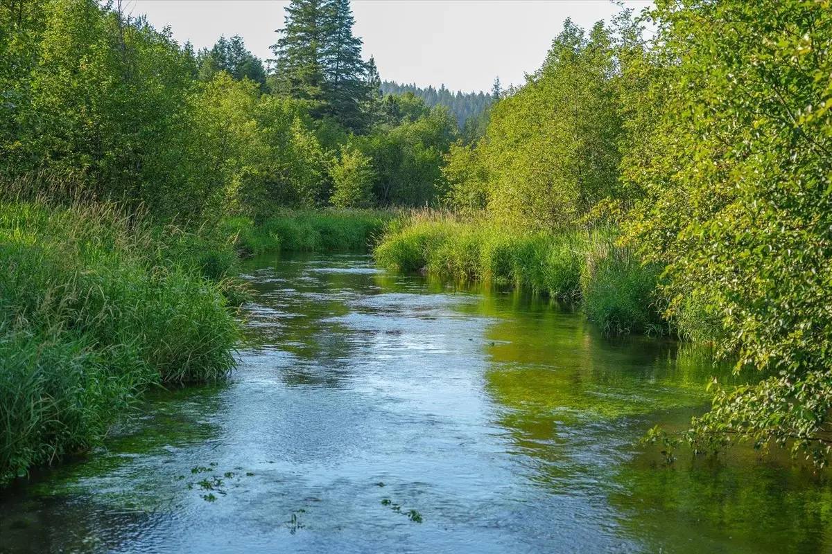 NKA Little Spokane River Rd, Newport, WA 99156 - #1