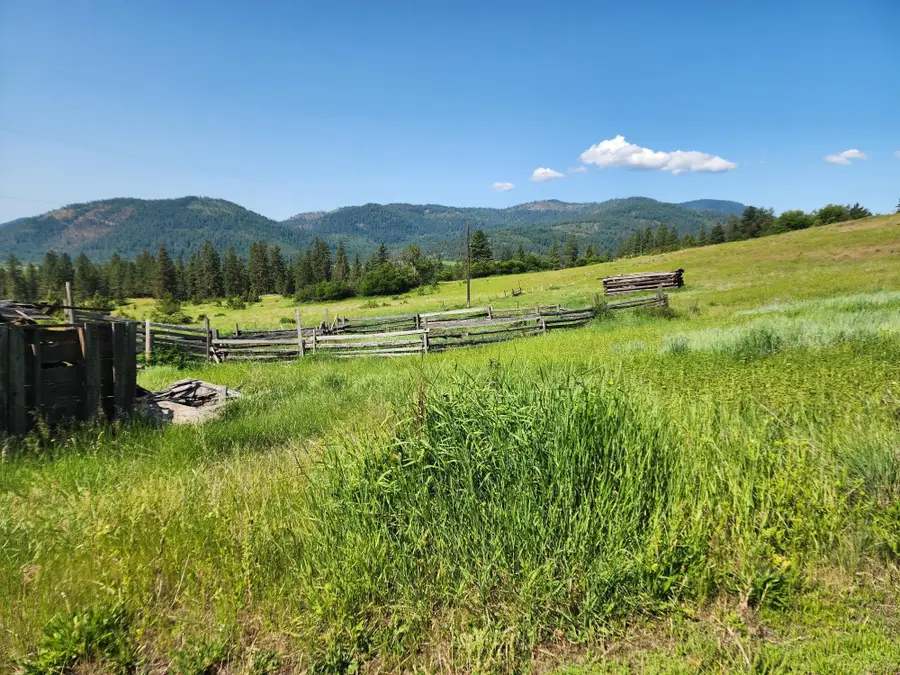 xxx Hall Creek Rd, Inchelium, WA 99138 - #3
