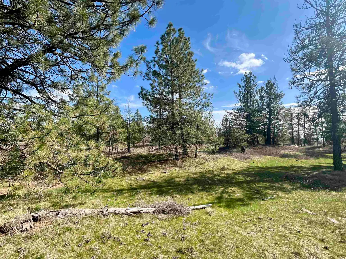 249015 W Kitt Rd, Reardan, WA 99029 - #1