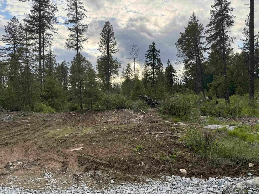 NKN Lot 2 Veit Rd, Newport, WA 99156 - #3