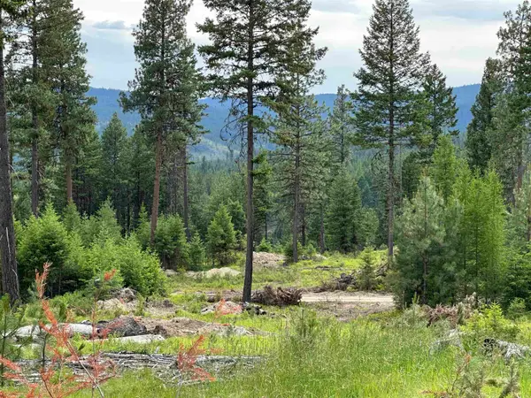 36XX Lot A Sheridan Rd, Republic, WA 99166
