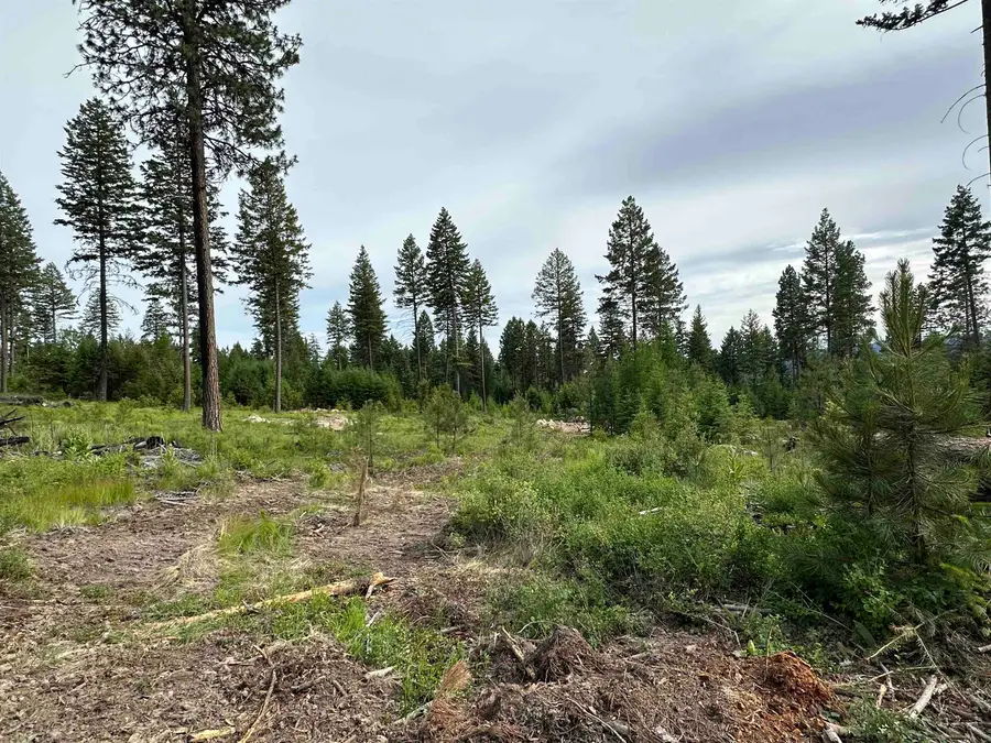 36XX Lot A Sheridan Rd, Republic, WA 99166 - #2