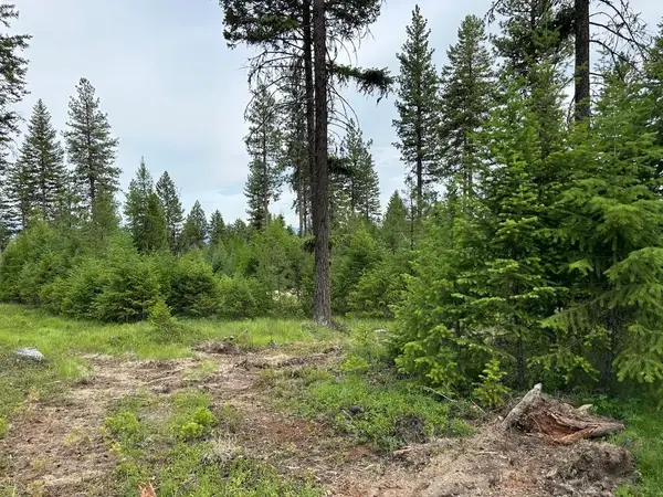 36XX Lot B Sheridan Rd, Republic, WA 99166