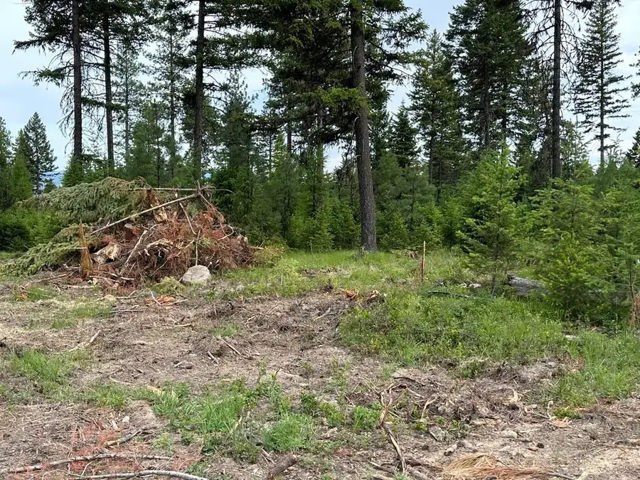 36XX Lot B Sheridan Rd, Republic, WA 99166 - #2
