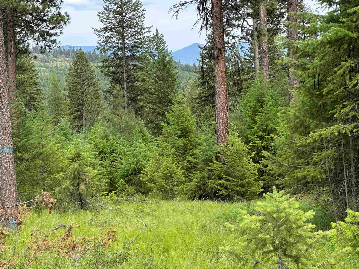 36XX Lot C Sheridan Rd, Republic, WA 99166 - #1