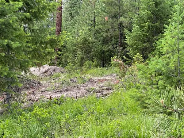 36XX Lot D Sheridan Rd, Republic, WA 99166
