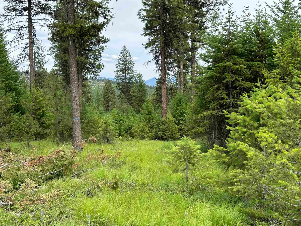 36XX Lot E Sheridan Rd, Republic, WA 99166 - #1