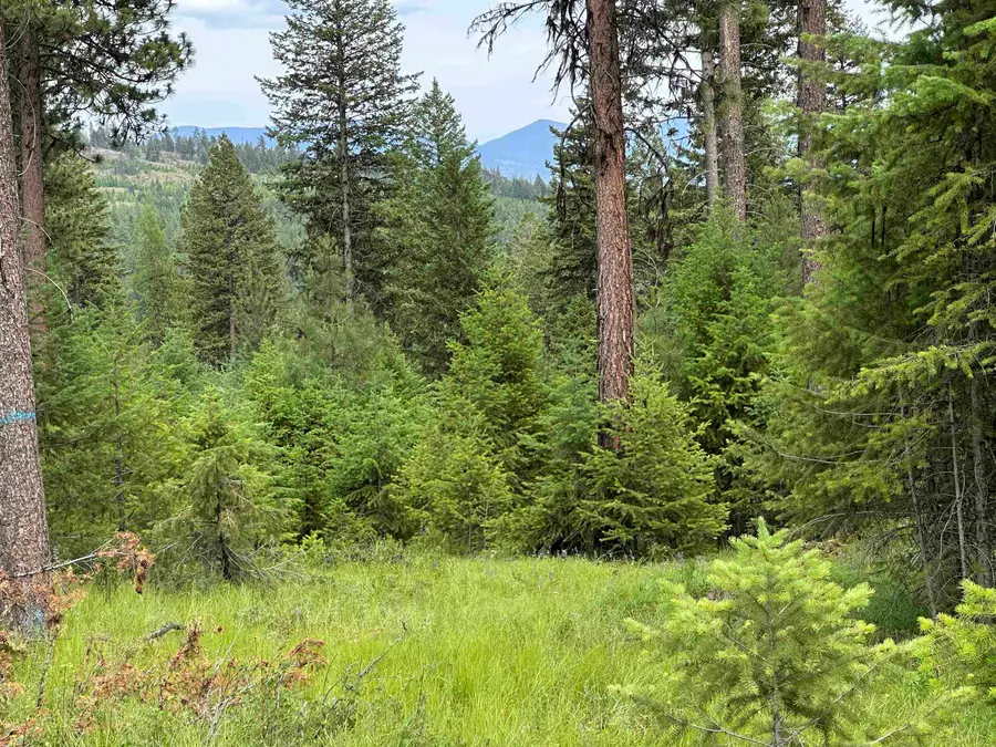 36XX Lot E Sheridan Rd, Republic, WA 99166 - #2