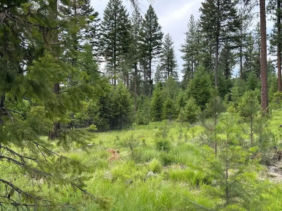 36XX Lot E Sheridan Rd, Republic, WA 99166 - #3